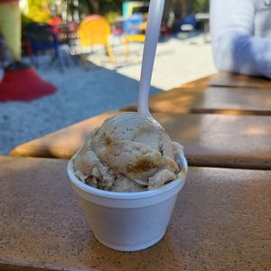  at Larry's Ice Cream & Gelatos in St Pete Beach