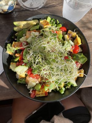 Miso kale salad at The Blue Owl in Santa Barbara