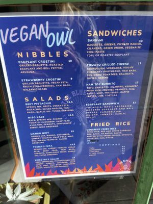 Vegan menu at The Blue Owl in Santa Barbara