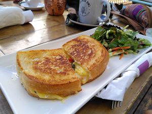 Tomato cheese sandwich at The Blue Owl in Santa Barbara