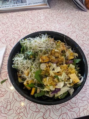 Vegan Tofu fried rice! at The Blue Owl in Santa Barbara