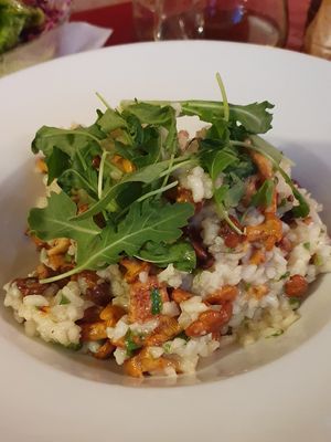 Pilzrisotto at Hotel Gasthof Brüggler in Radstadt