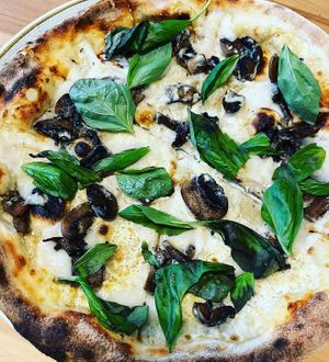 Fungi   at Chutnej in Prague