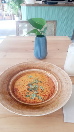 Mushroom soup as a starter at Chutnej in Prague