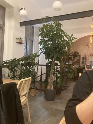   at Chutnej in Prague