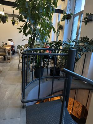   at Chutnej in Prague