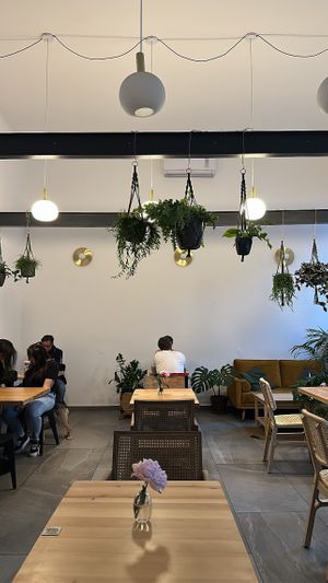   at Chutnej in Prague