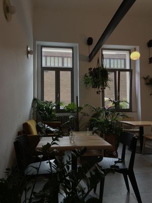 nice atmosphere  at Chutnej in Prague