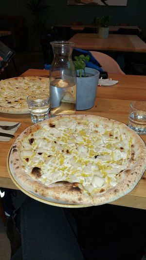 Vegan cheese pizza 🍕 at Chutnej in Prague