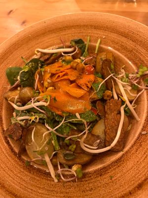 Great vegan restaurant in Prague! I would recommend a visit for every vegan traveler ☺️ we had a pizza picante and autumn salad which both tasted amazing!  at Chutnej in Prague