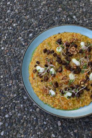  at Chutnej in Prague