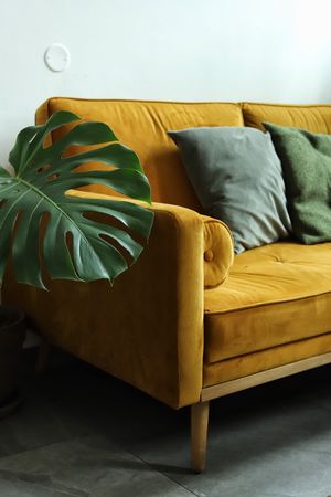  at Chutnej in Prague