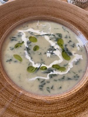 The flavours in this spinach soup were incredible   at Chutnej in Prague