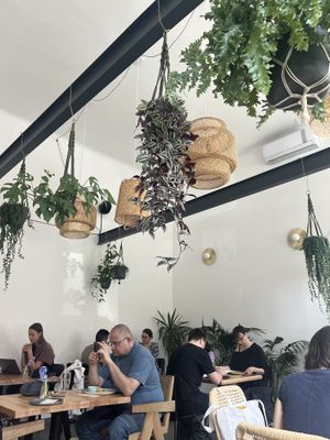   at Chutnej in Prague