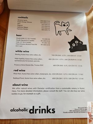 Alcoholic Drinks at Chutnej in Prague