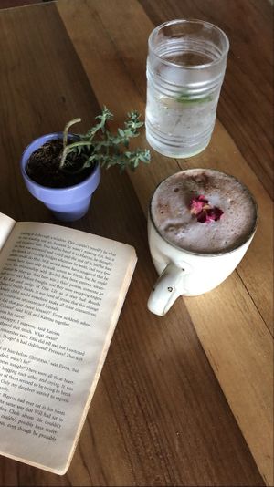 Hot chocolate with mushroom  at AmaSer in Puerto Viejo De Talamanca
