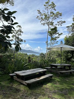 The view!  at AmaSer in Puerto Viejo De Talamanca