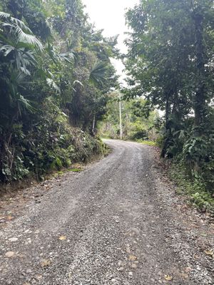 Way to heaven   at AmaSer in Puerto Viejo De Talamanca