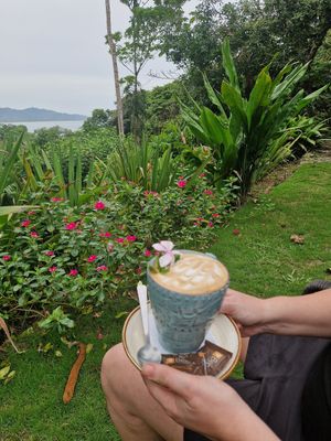  at AmaSer in Puerto Viejo De Talamanca