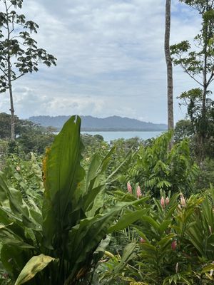   at AmaSer in Puerto Viejo De Talamanca