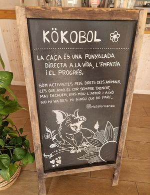  at Kokobol in Igualada