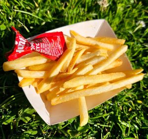 Fries that come with burger at Viva Vegan - Food Truck in San Francisco