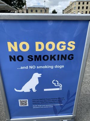   at Salamanca Market in Hobart