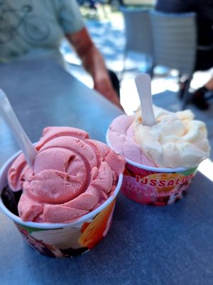 Chocolate and strawberry and lemon and passionfruit and other fruits at Het Droomijsje in Breskens