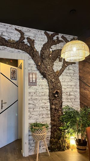   at Reed in Luxembourg City