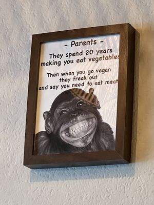   at Reed in Luxembourg City