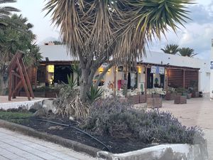   at The Funky Buddha Bistro in Lanzarote