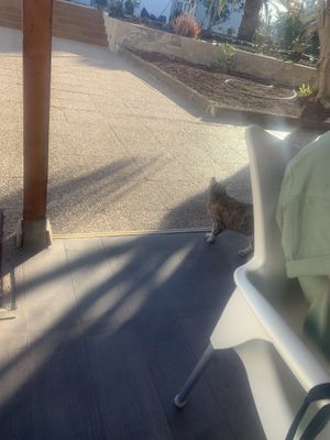   at The Funky Buddha Bistro in Lanzarote