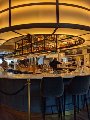 Bat at Rosetta Hall in Boulder