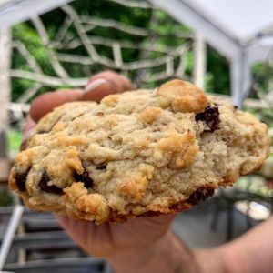 Chocolate chip scone at The Rosendale Cafe in Rosendale