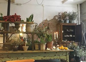  at Il Tavolo Verde in Madrid