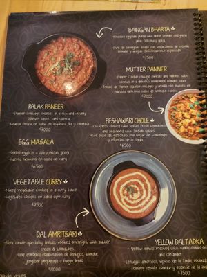 Hauptspeisen at India Curry House in La Fortuna