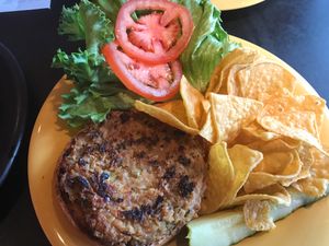 Vegan burger  at Cafe Yumm - Gateway in Springfield