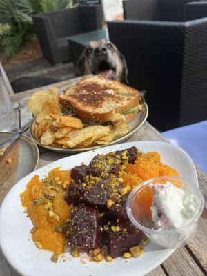 Chilled wood fired Beets salad with mandarins and clementines- so good!!  at Kid Cashew in Mount Pleasant