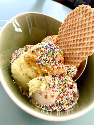 vegan fruit ice creams w/ waffle & sprinkles 🍧 at Eislust in Kassel