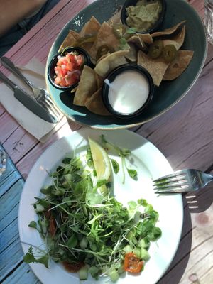 Finger foods - salad and nachos with dips (already half eaten)   at Junk y Vegan in Helsinki