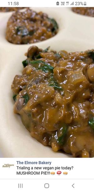 Vegan mushroom pie at Elmore Bakery in Elmore
