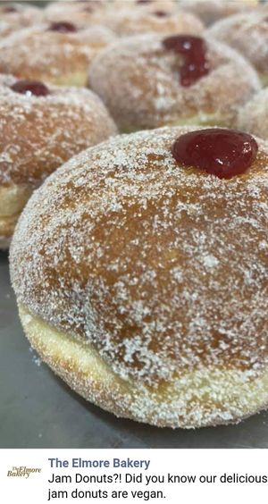 Vegan donuts at Elmore Bakery in Elmore
