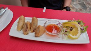Spring rolls with vegetables at Ristta Thai Food in Tenerife