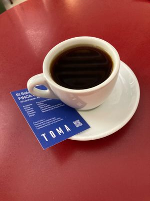 Batch brew at Toma Café 1 in Madrid
