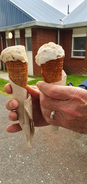 This is the kiddie size at Sea People Ice Cream in Mount Maunganui