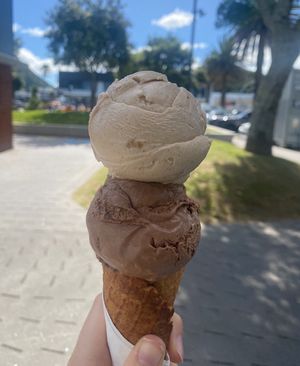   at Sea People Ice Cream in Mount Maunganui