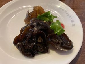 Black fungus at Tofu Vegan - Islington in North London