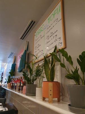 Inside at Tofu Vegan - Islington in North London