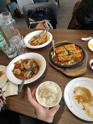 Sizzling tofu, potato noodle salad, tofu with oyster mushrooms and garlicc  at Tofu Vegan - Islington in North London