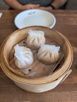 Spicy tofu and veg dumplings at Tofu Vegan - Islington in North London